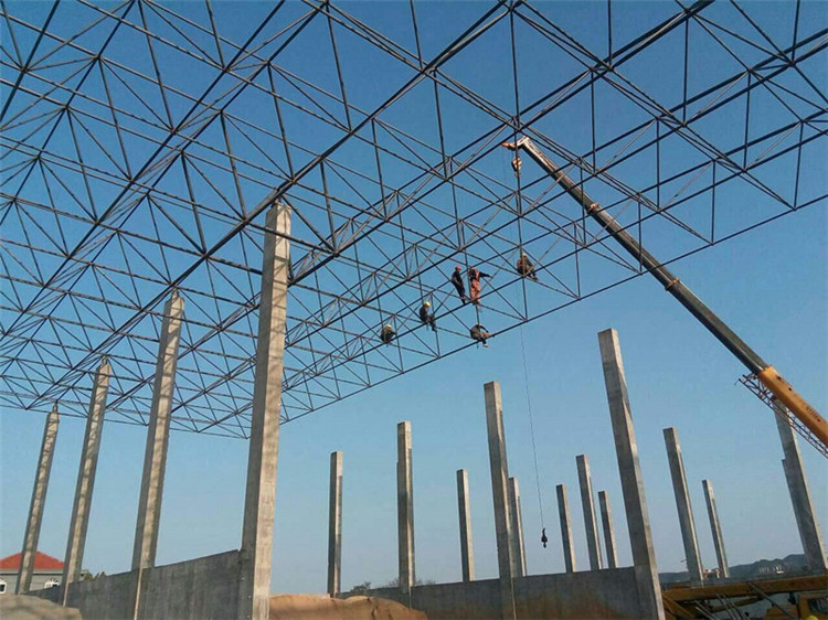儋州加气站钢结构网架案例10